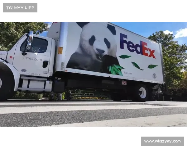 华盛顿特区联引进大熊猫助阵 主场专设熊猫观赛专区 华盛顿特区联引进大熊猫助阵 主场专设熊猫观赛专区